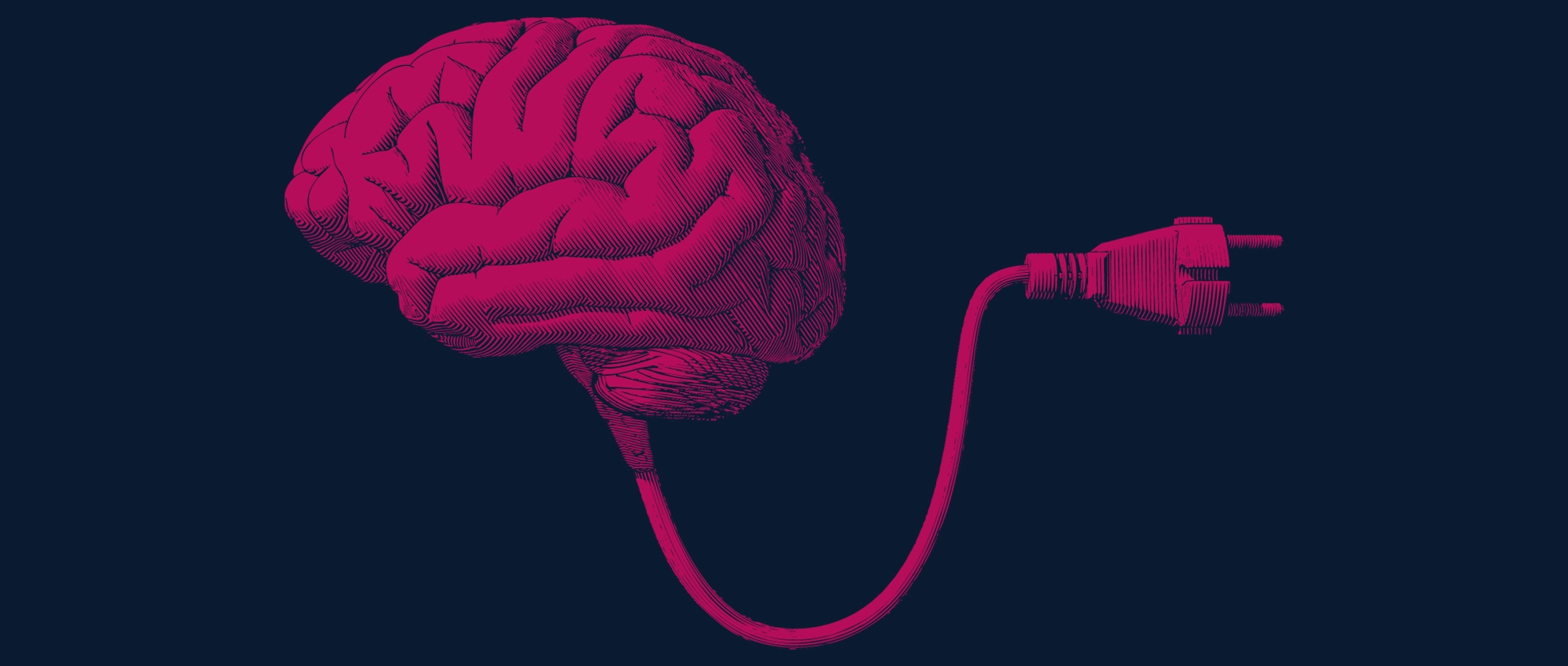 graphic of brain with a plug coming out of the cerebellum