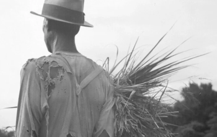 farmer holding wheat looking over a field representing grief and loss