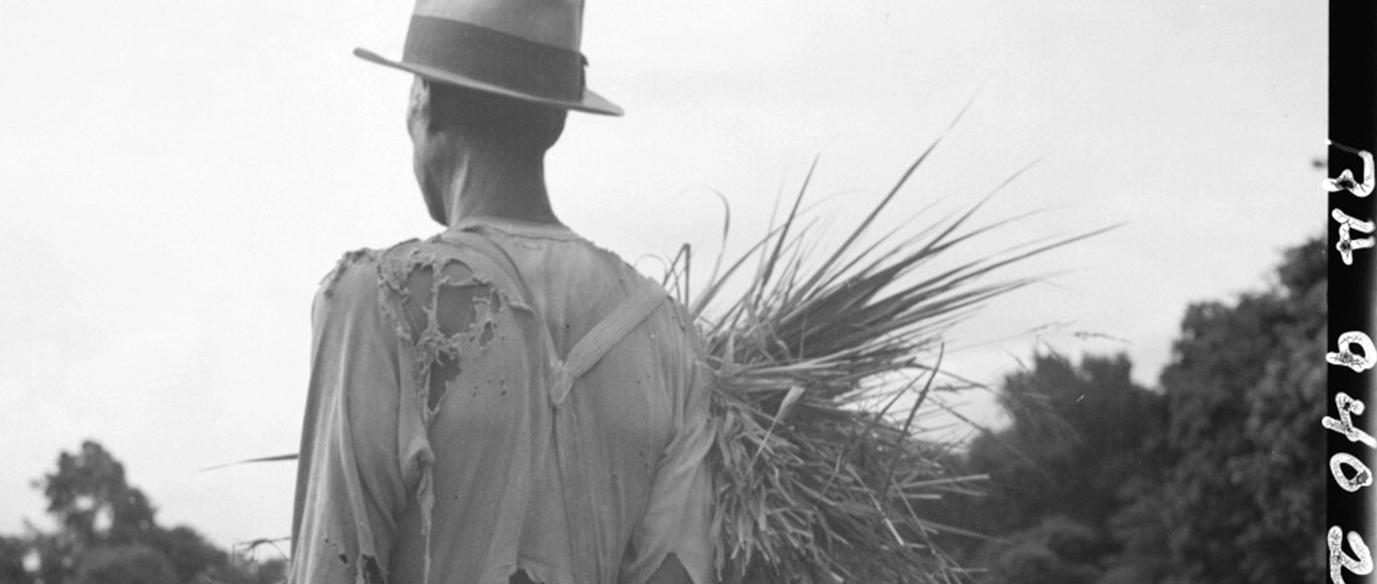 farmer holding wheat looking over a field representing grief and loss