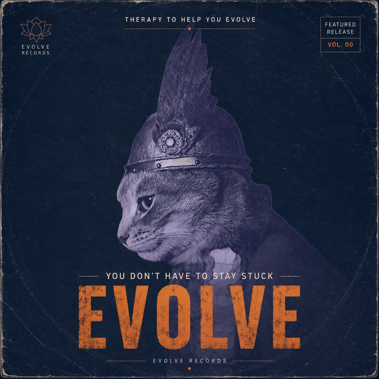 cat on an album cover